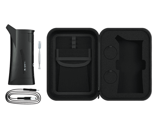 GREENCO SCIENCE - G PEN ROAM - BLACK