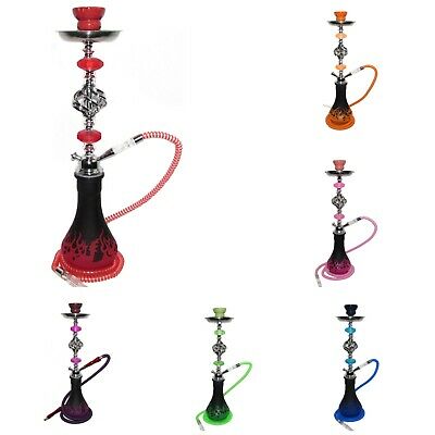 [INTREF0001721] ZEBRA FREDDY 1 HOSE HOOKAH